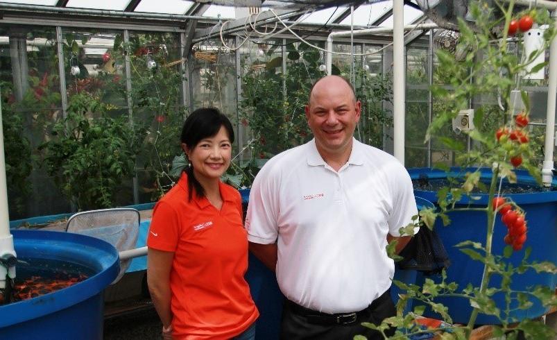 Photo of Jeff Meyer和Fei Weisstein in a greenhouse with aquaponics fish tanks growing tomatoes on campus at BGSU